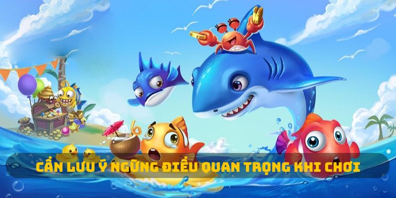 Cần lưu ý ngững điều quan trọng khi chơi
