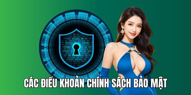 Khám phá các điều khoản chính sách bảo mật